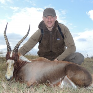 Blesbok