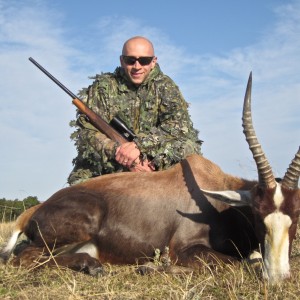 Blesbok