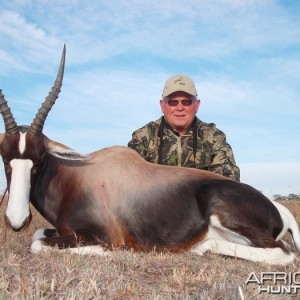 Blesbok