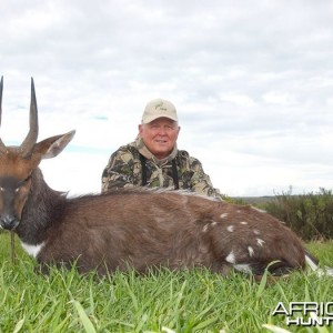 Bushbuck