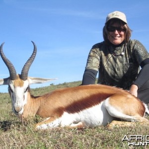 Springbok