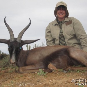 Black Springbok