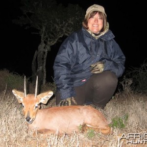 Steenbok