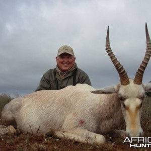 White Blesbok