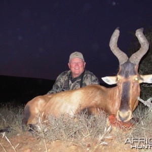 Hartebeest