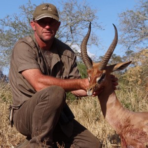 Gerenuk Tanzania