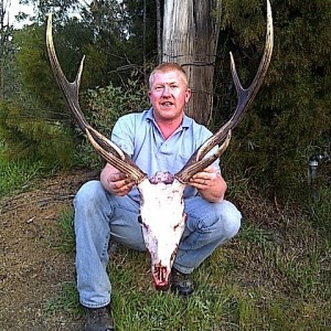 28 inch samba stag taken 2011