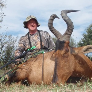 Hartebeest