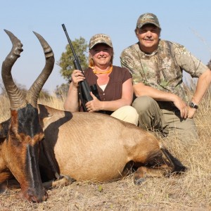 Red Hartebeest