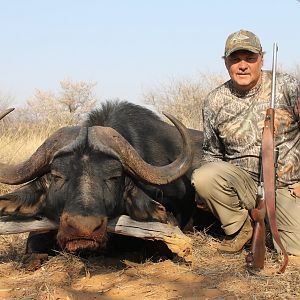 Cape Buffalo