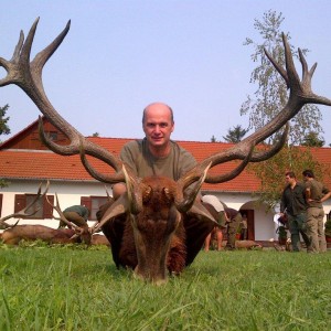 Red deer hunt in Europe