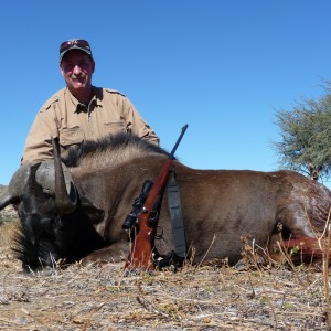 Black Wildebeest Nam 2012