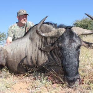 Blue Wildebeest Namibia 2012