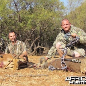 Warthog and Impala