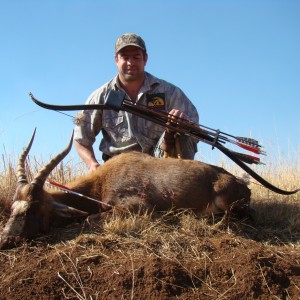 Blesbok