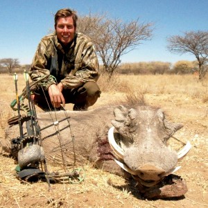 Warthog hunted with Ozondjahe Hunting Safaris in Namibia