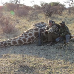 Giraffe hunted with Ozondjahe Hunting Safaris in Namibia