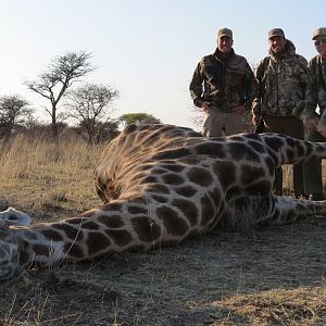 Giraffe hunted with Ozondjahe Hunting Safaris in Namibia