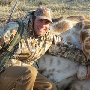 Giraffe hunted with Ozondjahe Hunting Safaris in Namibia