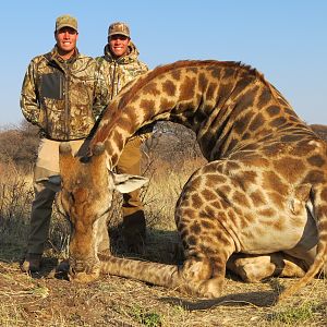 Giraffe hunted with Ozondjahe Hunting Safaris in Namibia