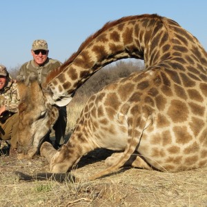 Giraffe hunted with Ozondjahe Hunting Safaris in Namibia