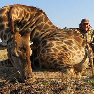 Giraffe hunted with Ozondjahe Hunting Safaris in Namibia