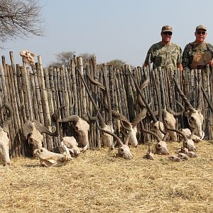 Trophies hunted with Ozondjahe Hunting Safaris in Namibia