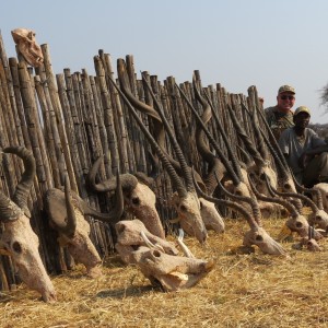 Trophies hunted with Ozondjahe Hunting Safaris in Namibia