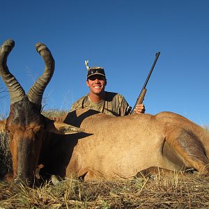 Red Hartebeest hunted with Ozondjahe Hunting Safaris in Namibia