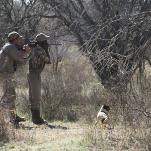 Ozondjahe Hunting Safaris in Namibia