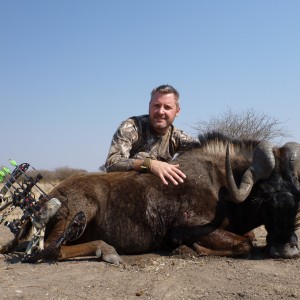 Black Wildebeest