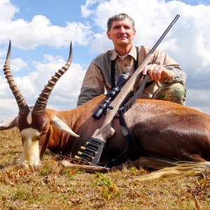 Blesbok Limpopo South Africa 2012