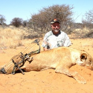 Lioness in the Kalahari!