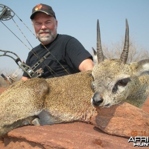 Klipspringer