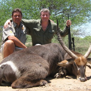 Waterbuck