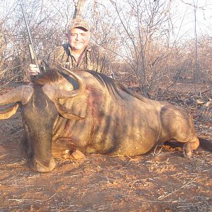 Blue Wildebeest - South Africa