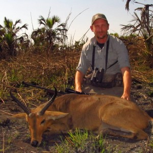 Common Reedbuck - Mozambique