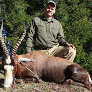 Common blesbok