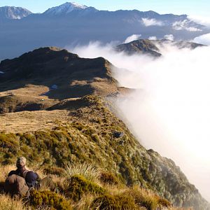 Hunting Chamois on the West Coast