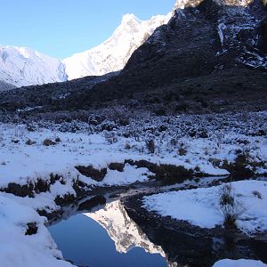 Tahr hunting