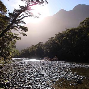 Fiordland