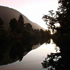 Fiordland reflection. Boating back to camp after a hard day chasing Red Sta