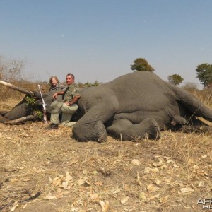 Elephant Namibia