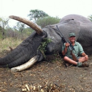 Elephant Namibia