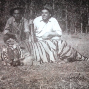 Hunting Tiger