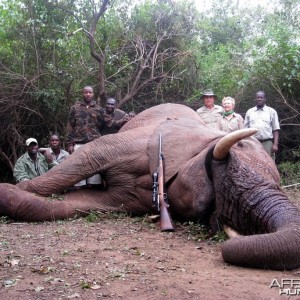 Elephant Zimbabwe