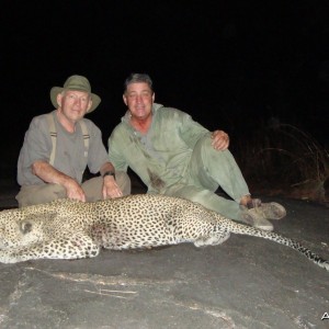 Leopard Mozambique