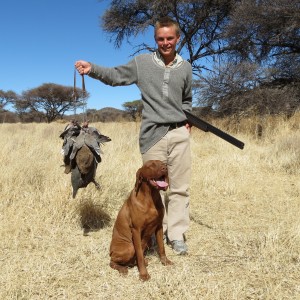 Wingshooting Dove in Namibia