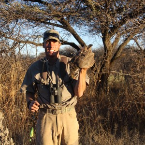 Wingshooting Red Francolin in Namibia