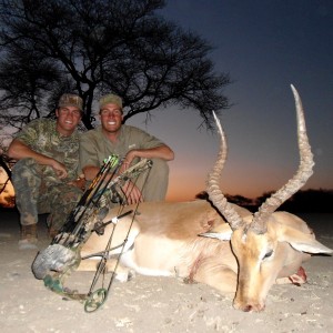 Bowhunting Impala in Namibia